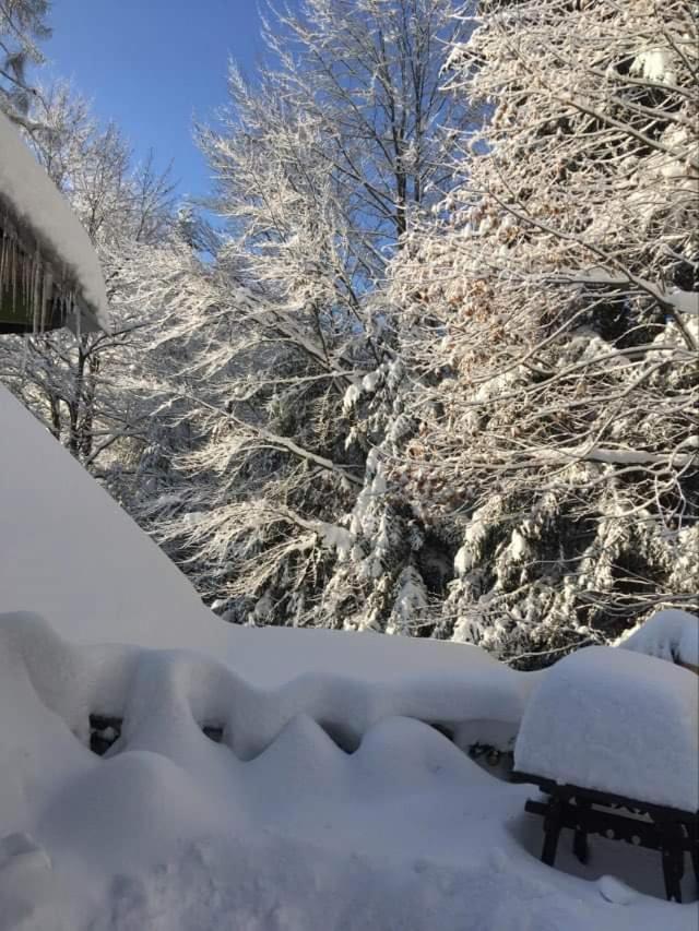 Uroczysko Apartment Wisla Bagian luar foto